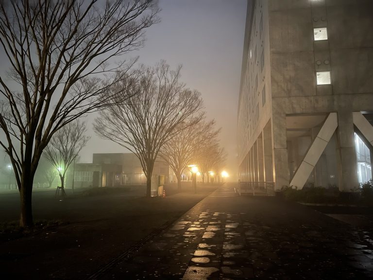 GALLERY – Kimura Laboratory